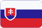 Stolní fotbal Slovensky